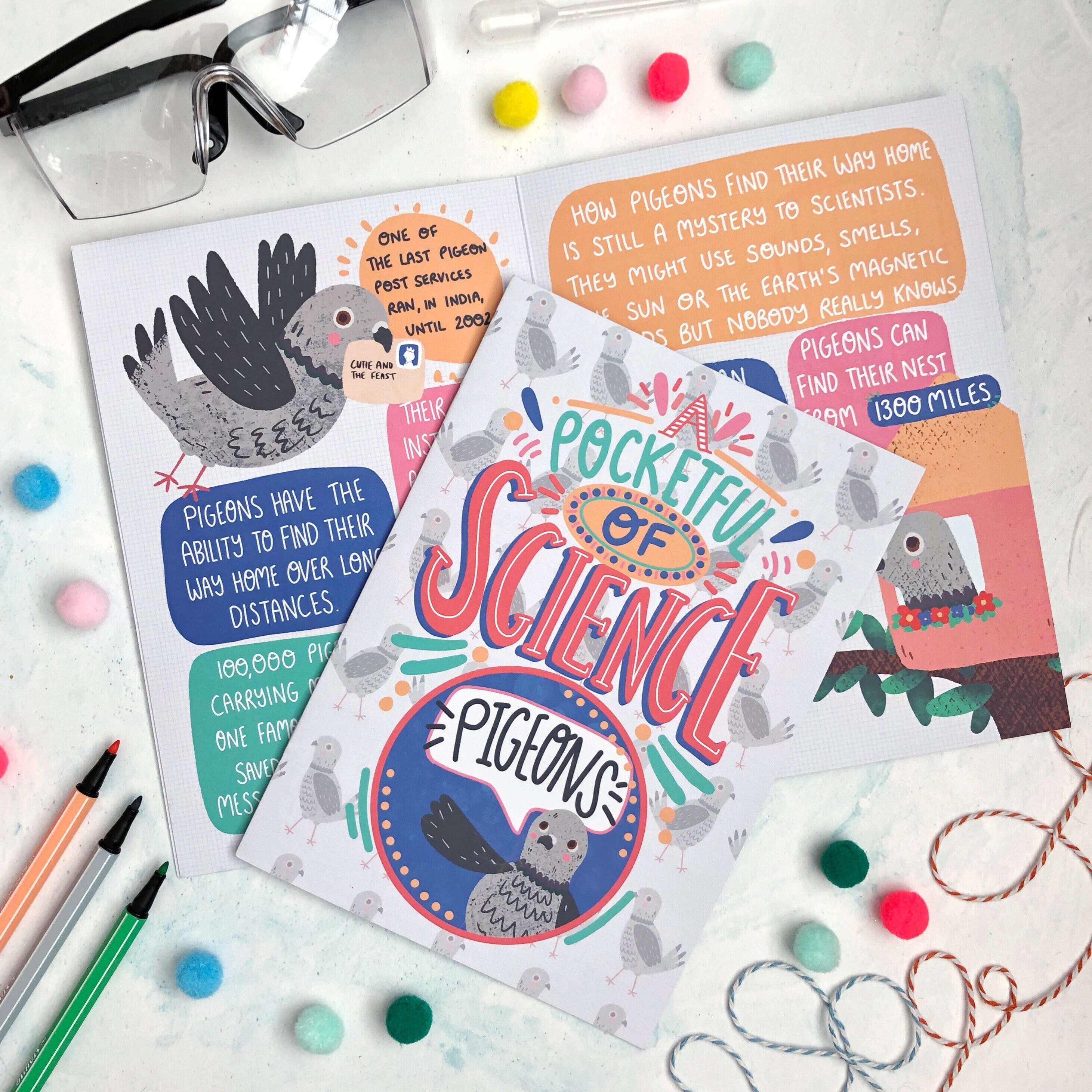 Pigeons! 8 Page Pocketful of Science A5 Zine - Bird Lover - Nature ...