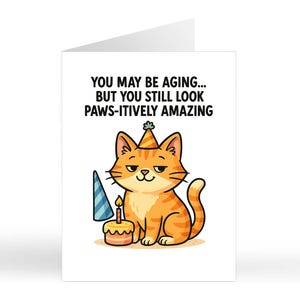 Divertente biglietto di auguri di compleanno a tema GATTO / Lei Lui / Mamma / Migliore amica / Sorella / Fratello / Gattaia / Amante dei gatti / Animale domestico / Biglietti umoristici per adulti con animali