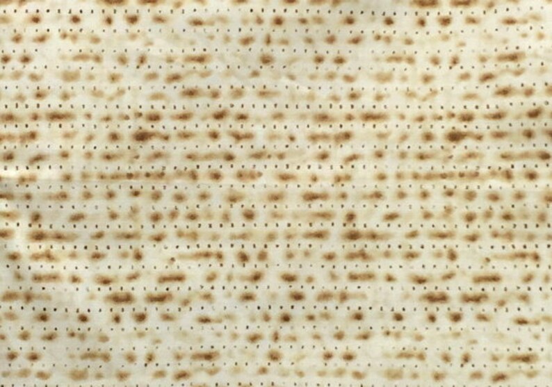 Passover Matzoh Jewish Fabric / Sold in 1/2 Yd Increments / Multiple Yards Available image 1