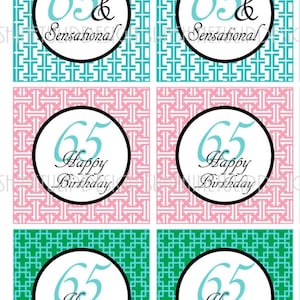 65th Birthday Tags | Printable 65th Birthday Cupcake Toppers | 65th Party Favor Gift Tags | INSTANT DOWNLOAD | Digital Download