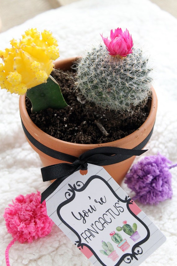 Printable Cactus Gift Tags Printable Teacher Appreciation Gift Tags Printable Cactus Gift Tags Printable Teacher Appreciation Gift Tags