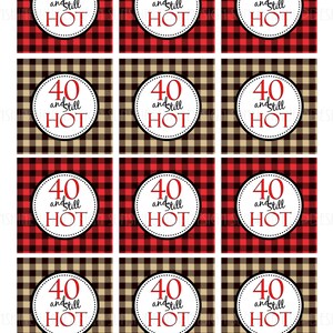 40 and Still HOT, Printable 40th birthday, Printable Buffalo Check Cupcake toppers and Gift tags by SUNSHINETULIPDESIGN