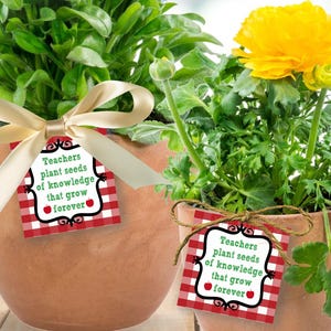 Etiquetas de regalo de agradecimiento para maestros imprimibles / Estacas de plantas de agradecimiento para maestros / Etiquetas de semillas de conocimiento para maestros / DESCARGA INSTANTÁNEA