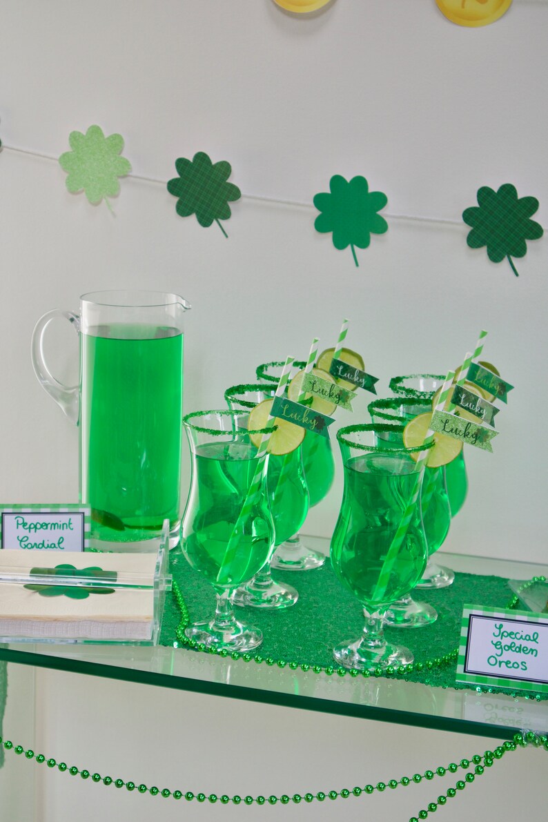 Printable St Patrick/'s Day Drink Flag Straws Printable St Patty/'s Day Flag Straws by SUNSHINETULIPDESIGN