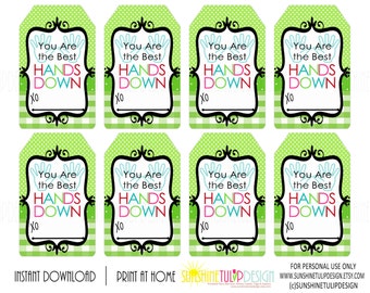 You are the Best HANDS DOWN Printable Gift Tags, Buffalo Plaid Lotion Gift Tags, Green Hand Soap Gift Tags by SUNSHINETULIPDESIGN