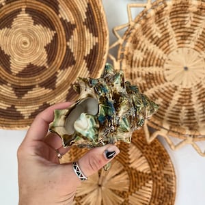 May include: A green and brown ceramic seashell with a textured surface. The seashell is being held by a hand wearing a silver ring.