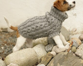 Cute blue dog coat