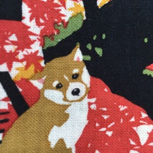 Op de afbeelding: Een bruine en witte Shiba Inu hond met zwarte ogen zit voor een rood en zwart bloemenpatroon. De hond kijkt naar rechts.