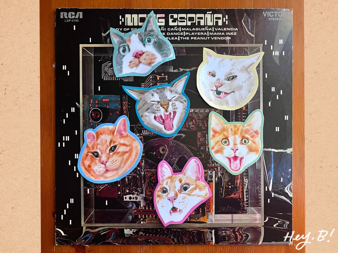Funny Cat Faces Sticker Pack, Waterproof Vinyl Decals - Etsy