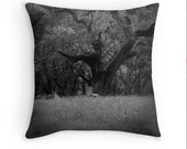 throw pillow, oak tree, photography pillow, bedroom decor, functional art, black, white, decorative pillows, nursery decor,sofa pillow cover