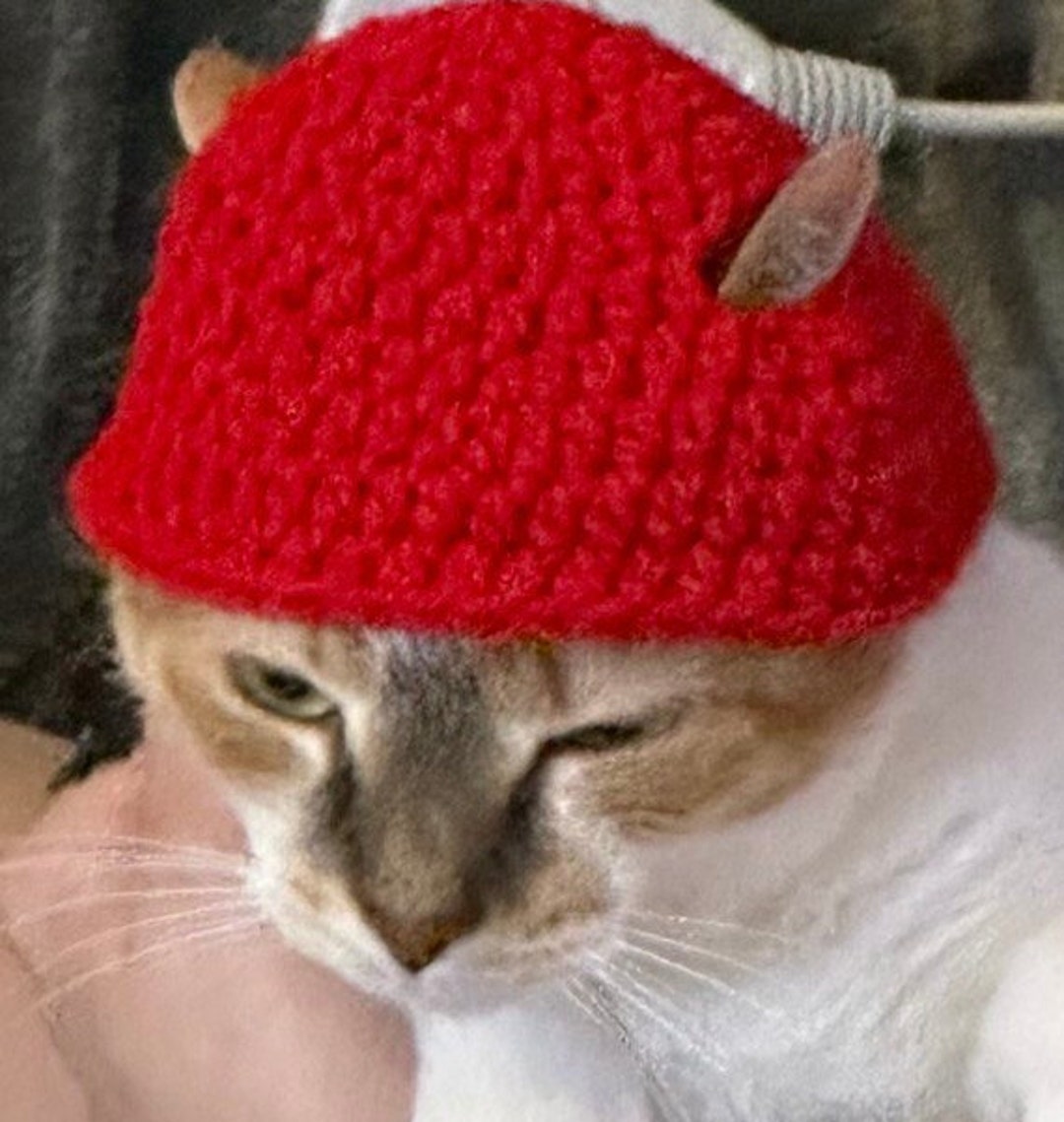 Reserved Custom Order Among Us Hat Etsy