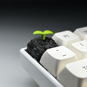 May include: A white keyboard with a black keycap featuring a small green plant growing out of a black dirt-like material.
