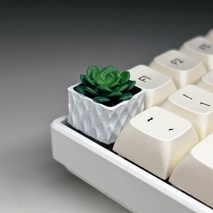 Succulent Artisan Keycap for MX Style Keyboards