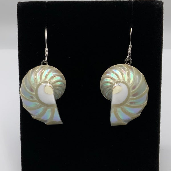 Nautilus Shell Earring