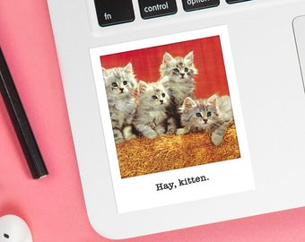 Hay, Kitten Sticker • FREE U.S. SHIPPING