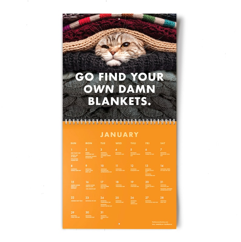 2023-pissed-off-cats-calendar-funny-cat-wall-calendar-etsy-canada