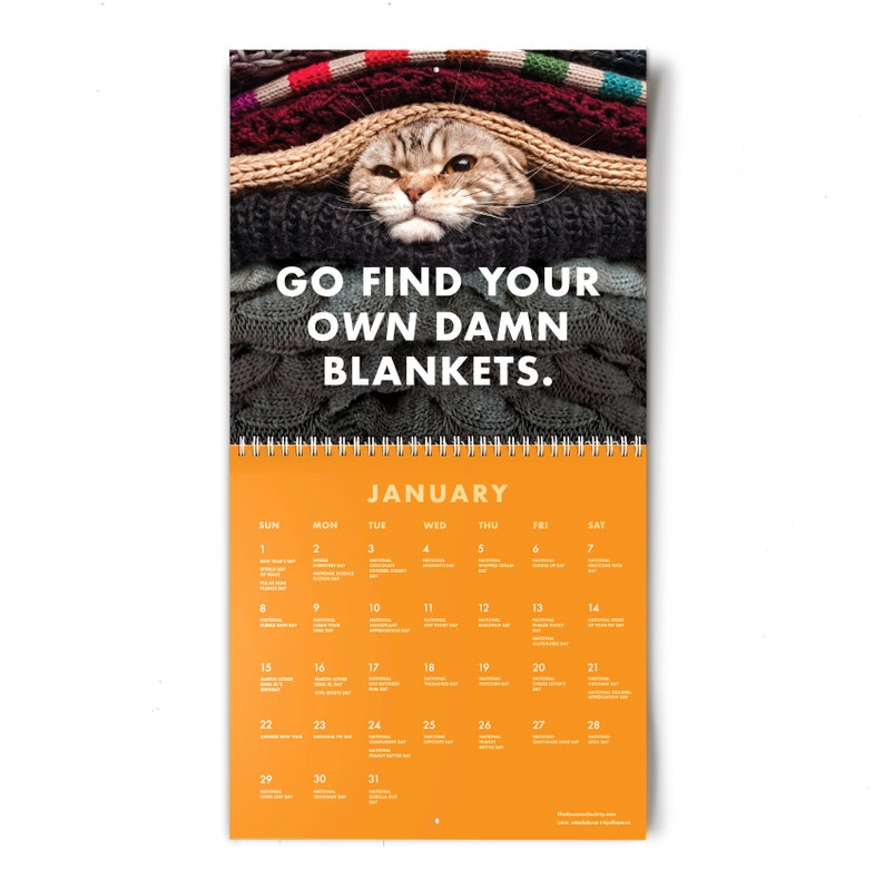 2023 Pissed off Cats Calendar Funny Cat Wall Calendar Etsy Canada