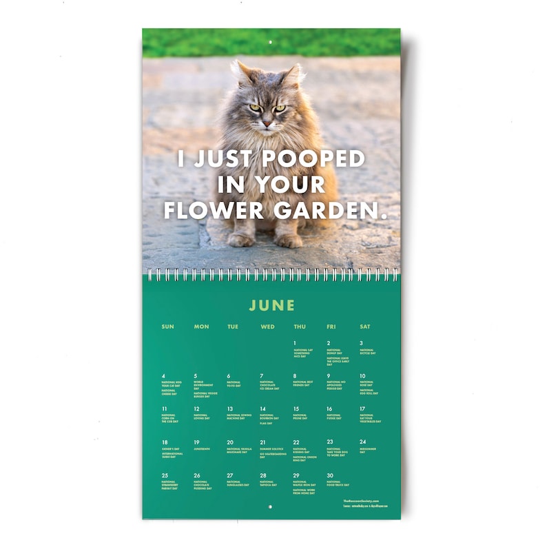 2023-pissed-off-cats-calendar-funny-cat-wall-calendar-etsy-canada