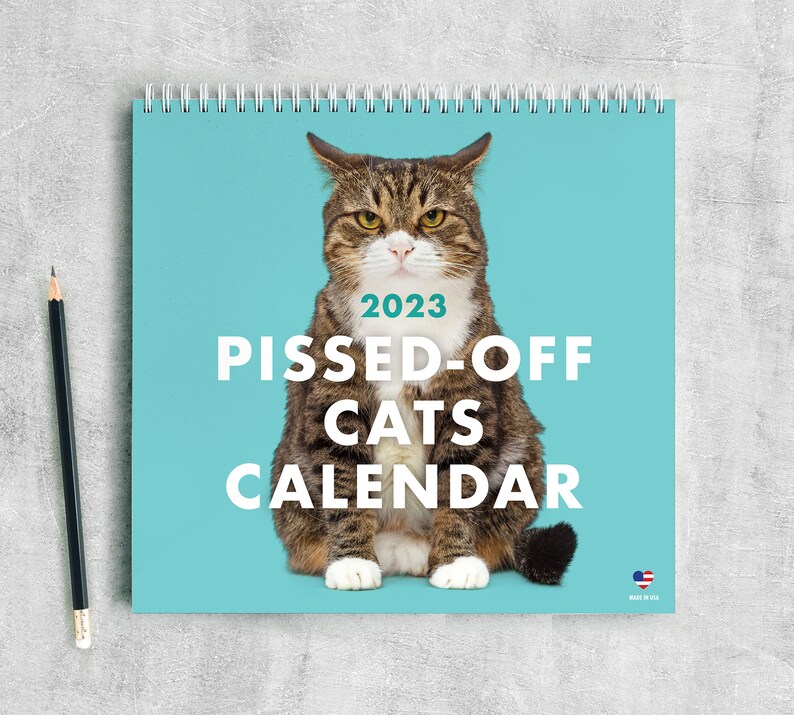 2023 Pissed off Cats Calendar Funny Cat Wall Calendar Etsy Canada