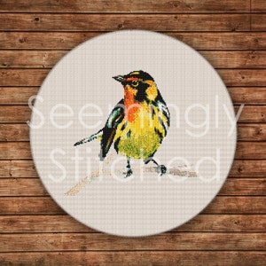 May include: A yellow, black, and orange bird with a long tail perched on a branch. The bird is depicted in a cross-stitch style on a white background.