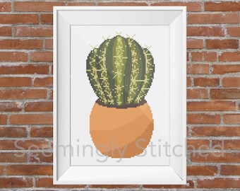 Counted Cross Stitch Pattern - Cactus Succulent - Instant Digital Download PDF