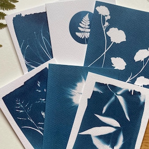 Lot de 6 cartes vierges I Cartes cyanotype I Renoncules I Coton des tourbières I Clématite I Fougère I Cartes de voeux pour un amoureux de la nature I Cartes A6
