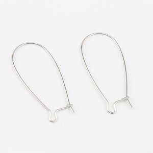 Puede incluir: Dos ganchos para pendientes de plata, cada uno con un diseño simple de bucle y un cierre de gancho.