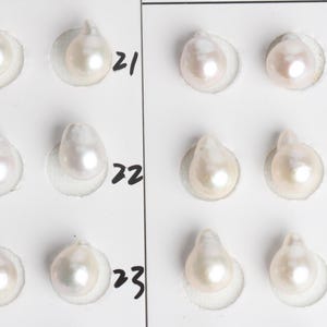 Pode incluir: Uma coleção de doze pérolas lustrosas de cor branco-sujo em forma de lágrima, dispostas em duas colunas em cartões brancos. Cada par está etiquetado com números escritos à mão em tinta preta 21, 22, 23, 31, 32 e 33.