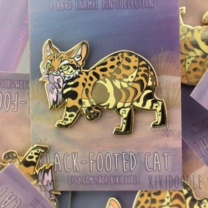 Big and Wild Cats: Black Footed Cat Hunting Wildcat Gold hard Enamel Pin 1.5"