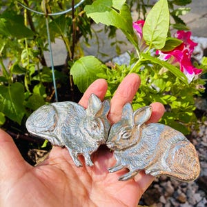 May include: Two silver-colored rabbit figurines. The bunnies are detailed with textured fur and upright ears. The figurines are held in a hand, with a background of green foliage and pink flowers.