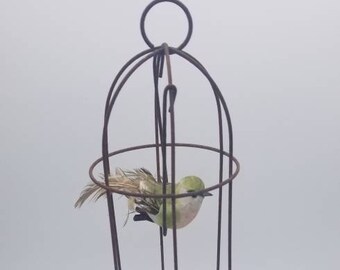 Old Wire Cage with Clipped Bird On It