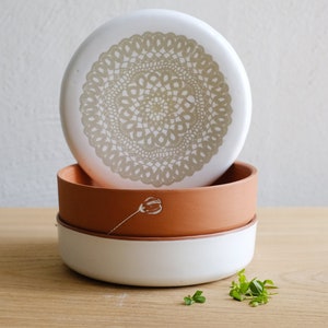 Clay Sprouter, Seed Sprouter, Microgreen Sprouter, Sprouting Seeds, Germinate Seeds