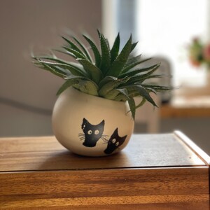 May include: A succulent plant in a white ceramic pot with a black cat design. The pot is sitting on a wooden surface.