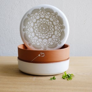 Clay Sprouter, Spouting Seed Sprouter, Microgreen Sprouter, Sprouting Seeds, Germinate Seeds