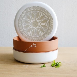 Clay Sprouter, Spouting Seed Sprouter, Microgreen Sprouter, Sprouting Seeds, Germinate Seeds