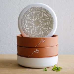 Clay Sprouter, Spouting Seed Sprouter, Microgreen Sprouter, Sprouting Seeds, Germinate Seeds