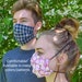 see more listings in the face mask section