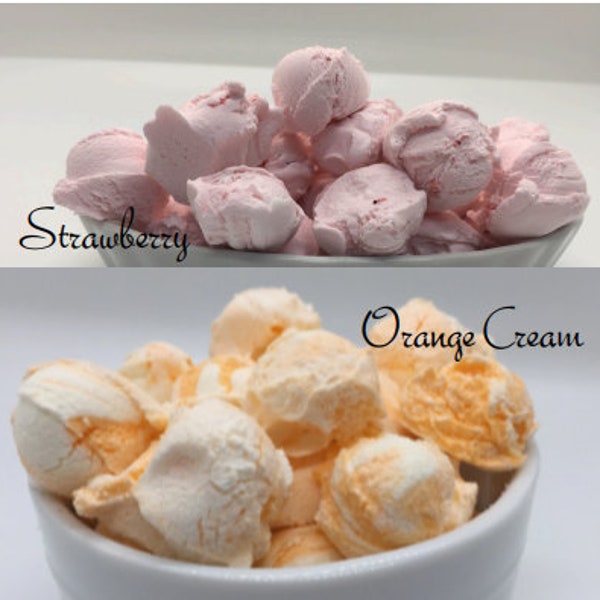 Freeze Dried Strawberry or Orange Cream Ice Cream Medium & Large