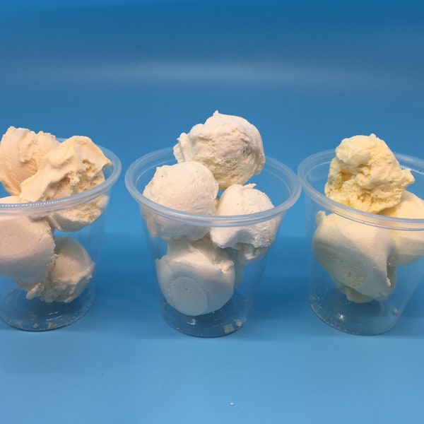 Freeze Dried Vanilla Ice Cream Medium & Large