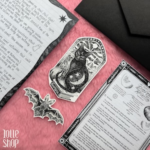 Op de afbeelding: Een zwart-witte stickerset met een kat die op een boek zit met een maansikkel en sterren, een vleermuis, en twee bedrukte vellen met handgeschreven tekst en een recept voor pompoenrisotto, gerangschikt op een roze ondergrond.
