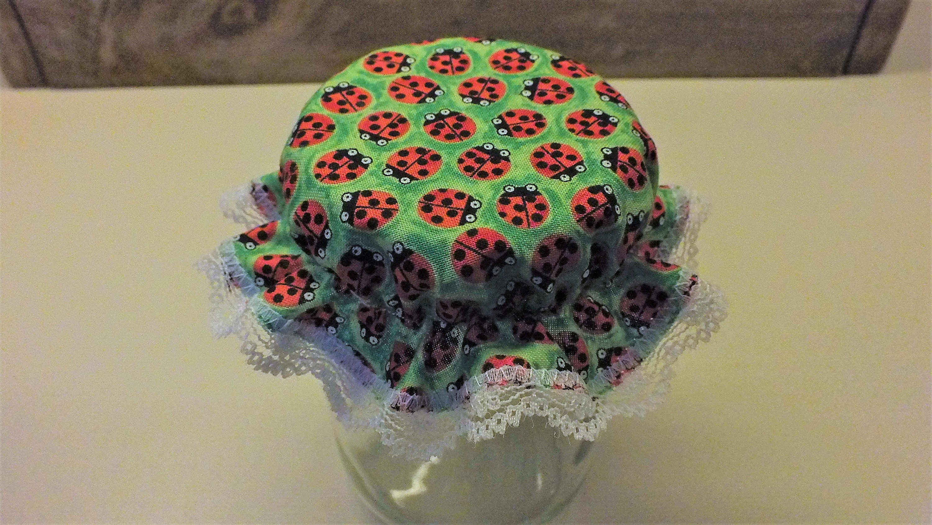 Reusable Elastic Mason Canning Jar Lady Bugs Jam Jar Etsy UK