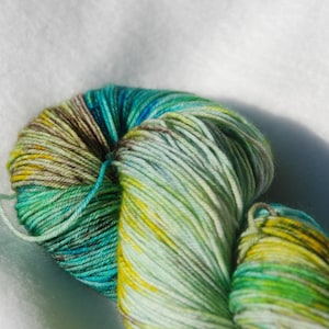 Sock Yarn 75/25 SW Marino/Nylon - You Have To Kiss a lot of Frogs