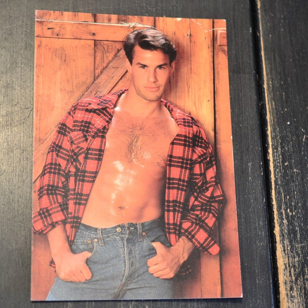 80s Beefcake Postcard Gay Interest Hot Bodz Male Model Glamour Photo Brunet Man Plaid Shirt Jeans Man at Work Cowboy Man in Barn Bare Chest