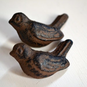 May include: Two cast iron bird figurines with a rustic, weathered appearance. The birds are brown with dark blue accents, and have a textured surface. These decorative birds are ideal for home decor.