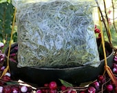 Spanish Moss 4 Ounce Bag Fresh Hand Picked Live Air Plant From Historic Savannah Georgia