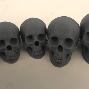 Plastic skull for sculpting armature with clay, sculpey, etc