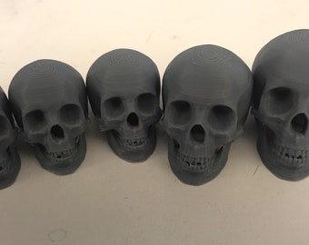 Plastic skull for sculpting armature with clay, sculpey, etc