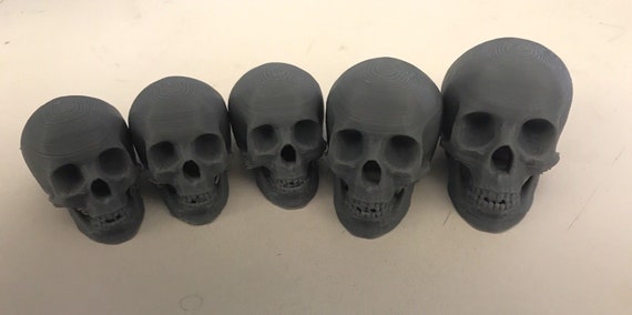 hebben Doorlaatbaarheid tempo Plastic Skull for Sculpting Armature With Clay Sculpey Etc - Etsy
