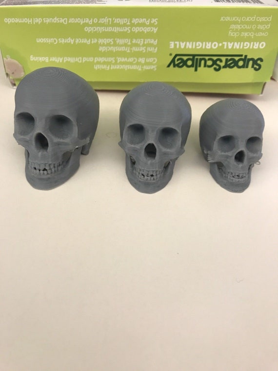 hebben Doorlaatbaarheid tempo Plastic Skull for Sculpting Armature With Clay Sculpey Etc - Etsy