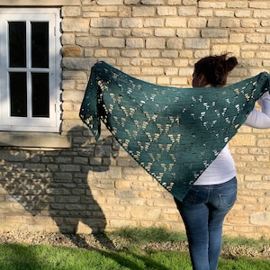 May include: A green crocheted shawl with a lacy pattern. The shawl is draped over the shoulders of a person standing in front of a stone wall.